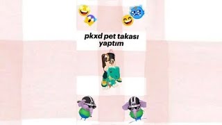 Pkxd pet takası yaptım ve fil Necati aldım 😱😱😱