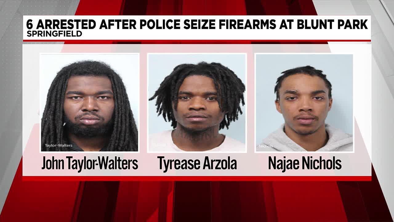 6 arrested after police seize illegal firearms at Blunt Park in ...