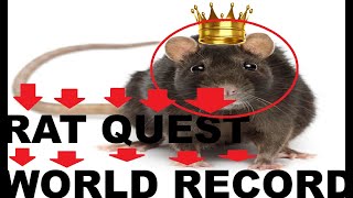 Rat quest world record