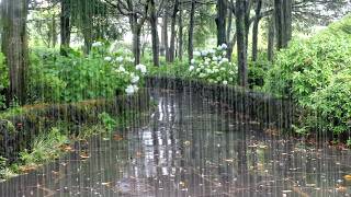 White Noise that Relieves Stress and Provides Comfort with Rain Sounds on a Walkway, Perfect Healing
