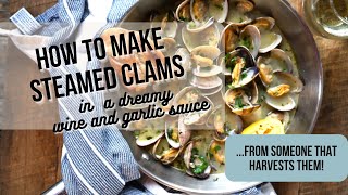 How to Make Steamed Clams in Garlic White Wine Sauce…SO Good!