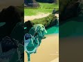 How to defeat a chicken like a boss,No Scope!