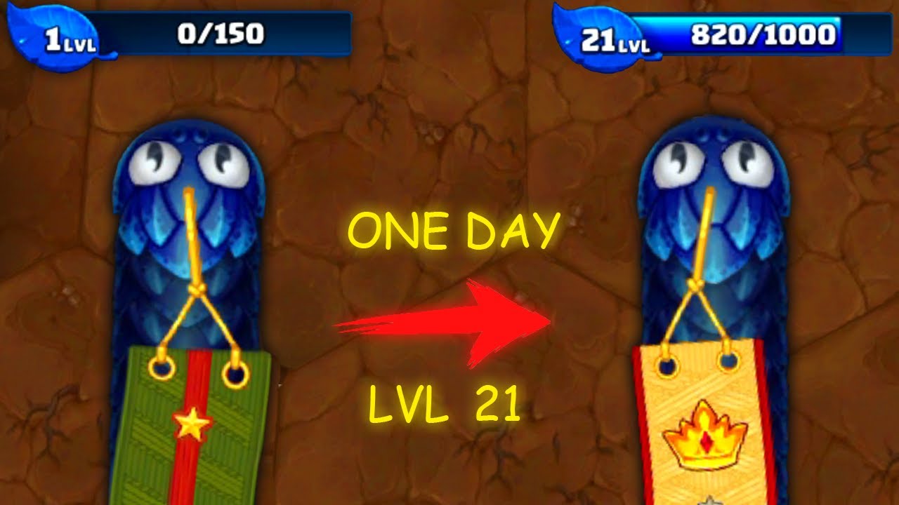 LVL 21 PRINCE IN 1 DAY 👑 SOLO + NEW ACCOUNT + ASIAN SERVER