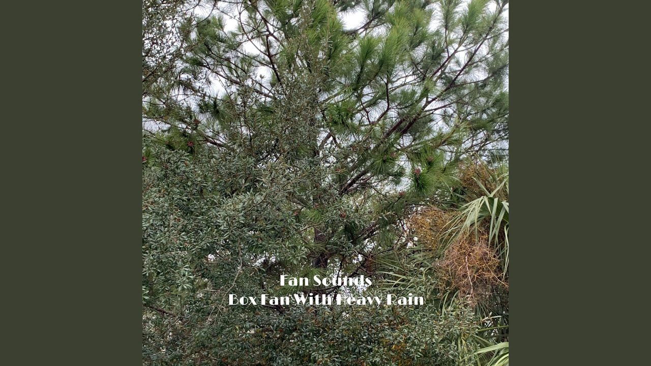 Box Fan with Heavy Rain
