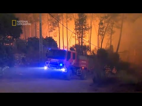 Kiedy dojechali na miejsce pożar był już nie do opanowania! [Człowiek kontra żywioł]