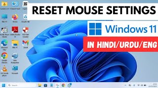 How to Reset Mouse Settings to Default in Windows 11 | Mouse Setting Reset Kaise Kare