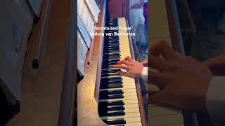 “Toccata and Fugue” by: Johann Sebastian Bach #viral #recitals #piano #classicalmusic #fyp