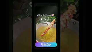 Mesmerizing Flower Crackers Blooming Hack