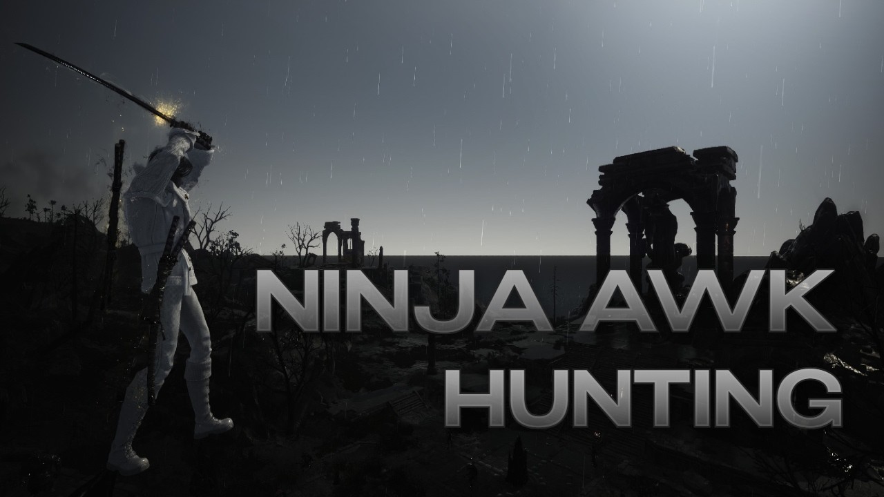 검은사막 각성닌자 별무덤 사냥ㅣBDO Awakening Ninja Star Tomb Hunt