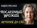 ГОРОДСКАЯ ФИФА ПРОТИВ ДЕРЕВЕНСКОГО НАВОЗА: кто кого сломает? // Жизненные истории у камина