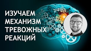 Панические атаки | Урок №19 Механизм тревожных реакций | этапы | страха | появление | причины Панические атаки | Урок №19 Механизм тревожных реакций | этапы | страха | появление | причины