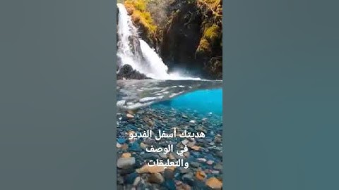 كتاب مشكاة المقربين في ذكر جوامع أدعية وأذكار الصالحين  في الوصف او التعليقات