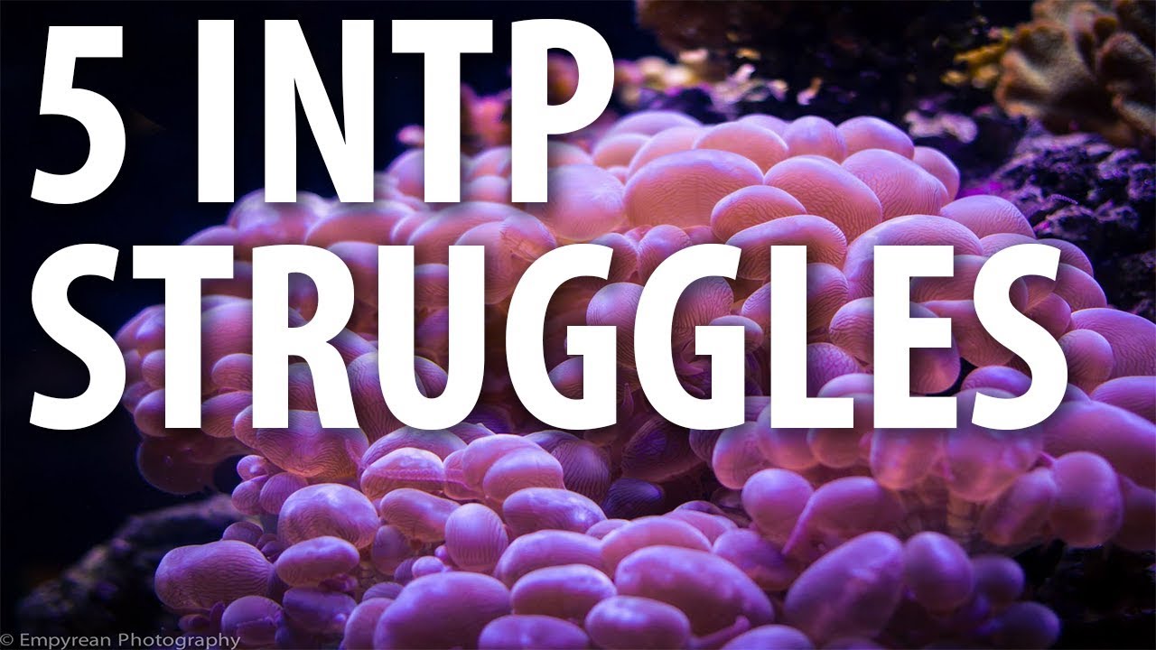 5 INTP Struggles