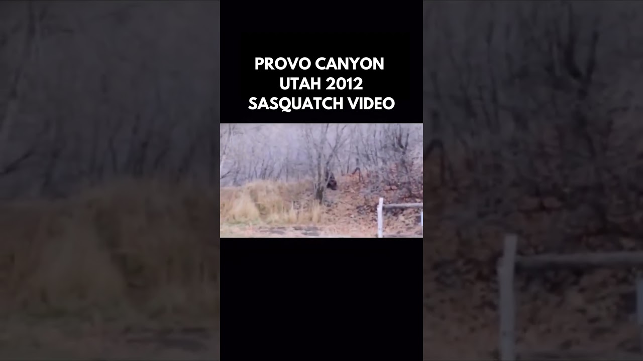 Bigfoot seen in Provo Canyon, Utah 2012 #publishtoall