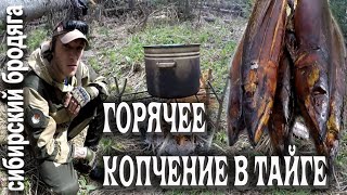 ВЕСЕННИЙ ЛЕС КОПТИМ СКУМБРИЮ ПРО ВОЛЧЬЕ ЛЫКО поход ВЕСЕННИЙ ЛЕС КОПТИМ СКУМБРИЮ ПРО ВОЛЧЬЕ ЛЫКО поход