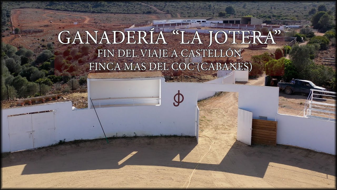 GANADERÍA LA JOTERA, FINAL DEL VIAJE A CASTELLÓN