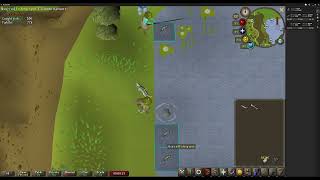 2021110802 runescape