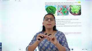 CLASS-3 | SCIENCE CHAPTER-4 | PARTS OF A PLANT