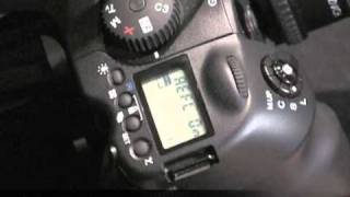 Bear Images Presents: Phase One 645DF Auto Focus