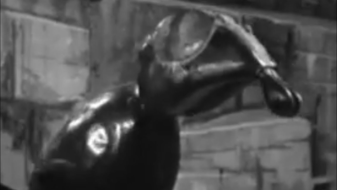 The Many Characters Of Doctor Who: Entry 33: The Zarbi