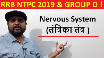 Nervous System (तंत्रिका तंत्र )For RRB NTPC 2019 and Group D Exams