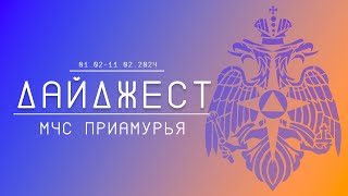 Дайджест ГУ МЧС России по Амурской области 01.02-11.02.2024