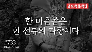 ☯ #금요즉문즉답 