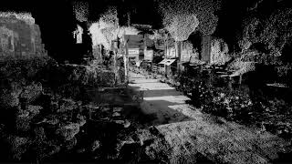NeRF pointcloud imported into unity