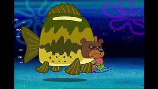 SpongeBob - Squidward get attacked by the Sea Bear (French)