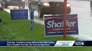 Celebrity Fake 'socialist' campaign signs for Pennsylvania Senate candidate Lindsey Williams Profile