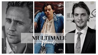 • Multimale || friends