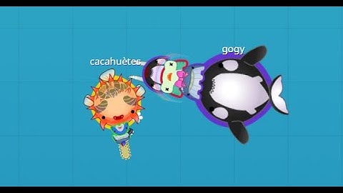 Stabfish IO Full Gameplay Walkthrough