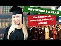 Обучение в Дубай. Как я Попала в American University in Dubai