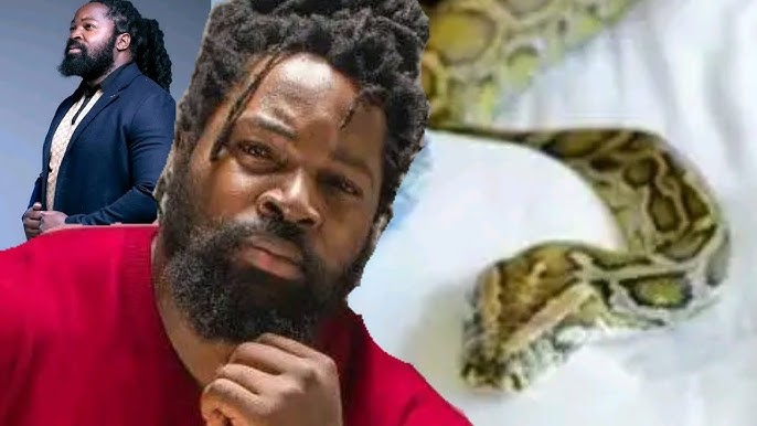 Big Zulu finally responds on using snake to fuel his success - YouTube