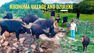 Khonoma Village tourist destination | Dzuleke | Green Village of India | Nagaland