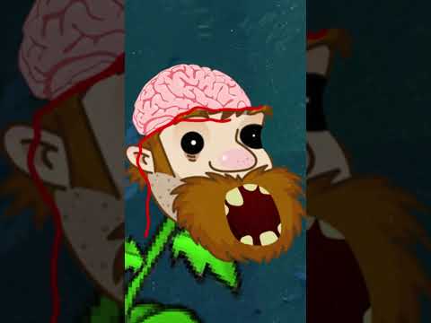 What Happens When Plants Go Crazy In PVZ 