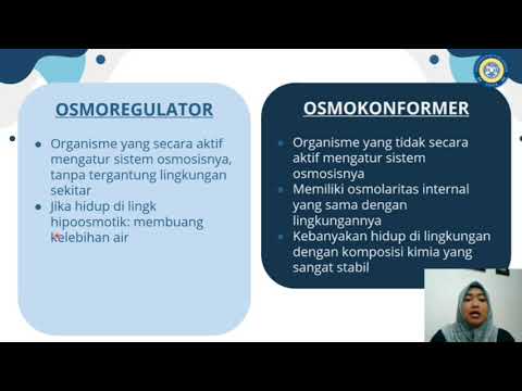 Video: Perbedaan Antara Osmoregulator Dan Osmokonformer