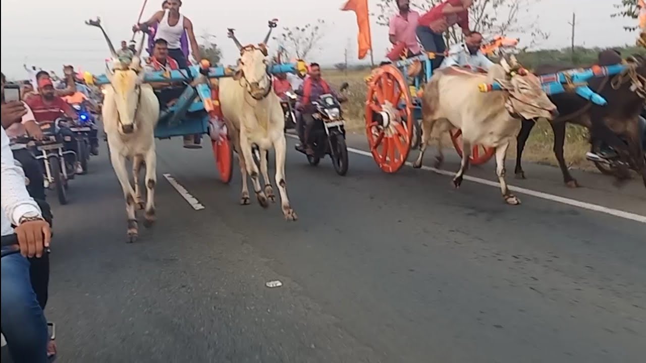 Yellamangudda To Hubli Bulls Race🐂(03-03-2021) Part - 4