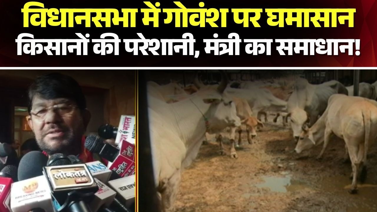 MP Budget Session 2026: बुधवार को सदन में 2 मुद्दों की गूंज।सदन में उठा फायर सेफ्टी और गाय का मुद्दा