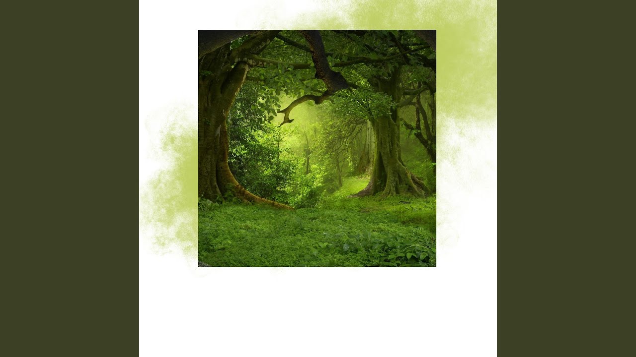 Calmly Soothed by Nature Sounds