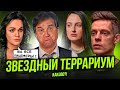 КОСТЮЧЕНКО ОПОЗОРИЛАСЬ У ДУДЯ* | СЛАВА НАЕХАЛА НА КИРКОРОВА | КУДРЯВЦЕВА ОСАДИЛА СТИЛИСТА РОГОВА