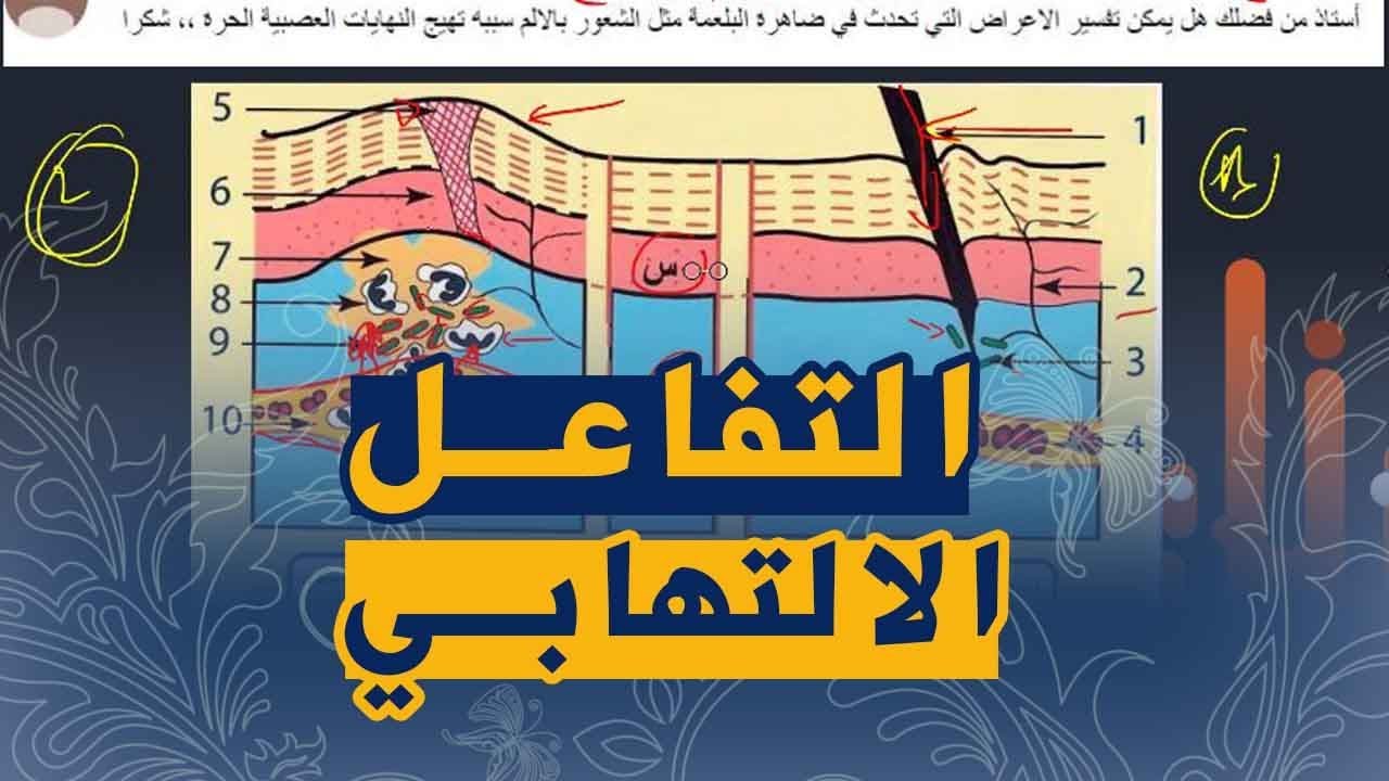 تفسير اعراض التفاعل الالتهابي علوم طبيعية للسنة الرابعة متوسط