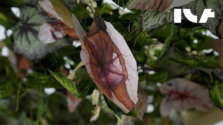 "Kandis Williams: A Field" at the Institute for Co...
