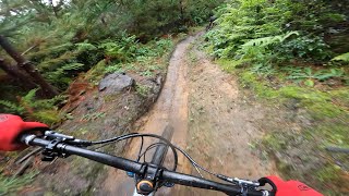 MTB Ride! Vol. 50 Redwoods Rotorua, The Last One in New Zealand! (4K)