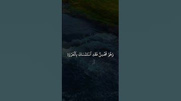 سورة لقمان ايه٢٢ #القرآن_الكريم #القرآن #القرآن_شفيع #like #subscribe #surah #quran #راحة_نفسية