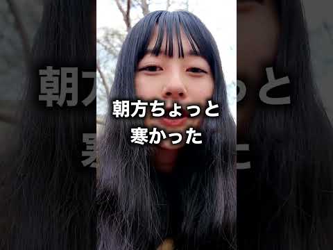 【スタッフ休日｜1泊2日テント泊登山】瑞牆山・金峰