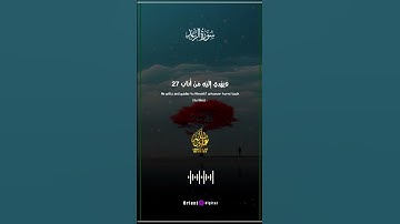 📖 آيات تهز الروح بصوت نادر الإحساس.. عبدالله مصطفى
