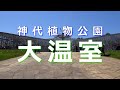 神代植物公園　「大温室２０１６」 の動画、YouTube動画。