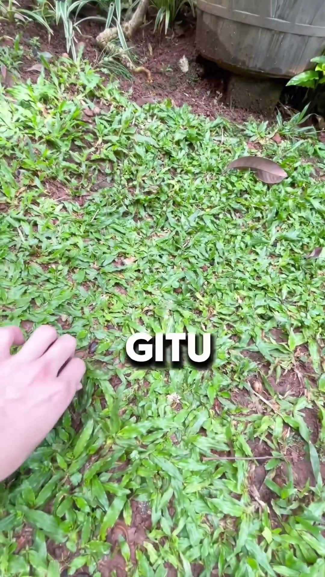 JANGAN BUKA TANAH!!