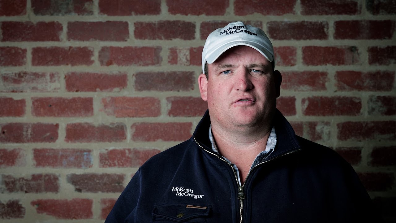 Bendigo Sheep & Lamb Market Report August 15, 2022 YouTube